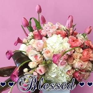 Meet your Posher, Angela